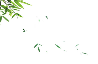 VI設(shè)計的三要素